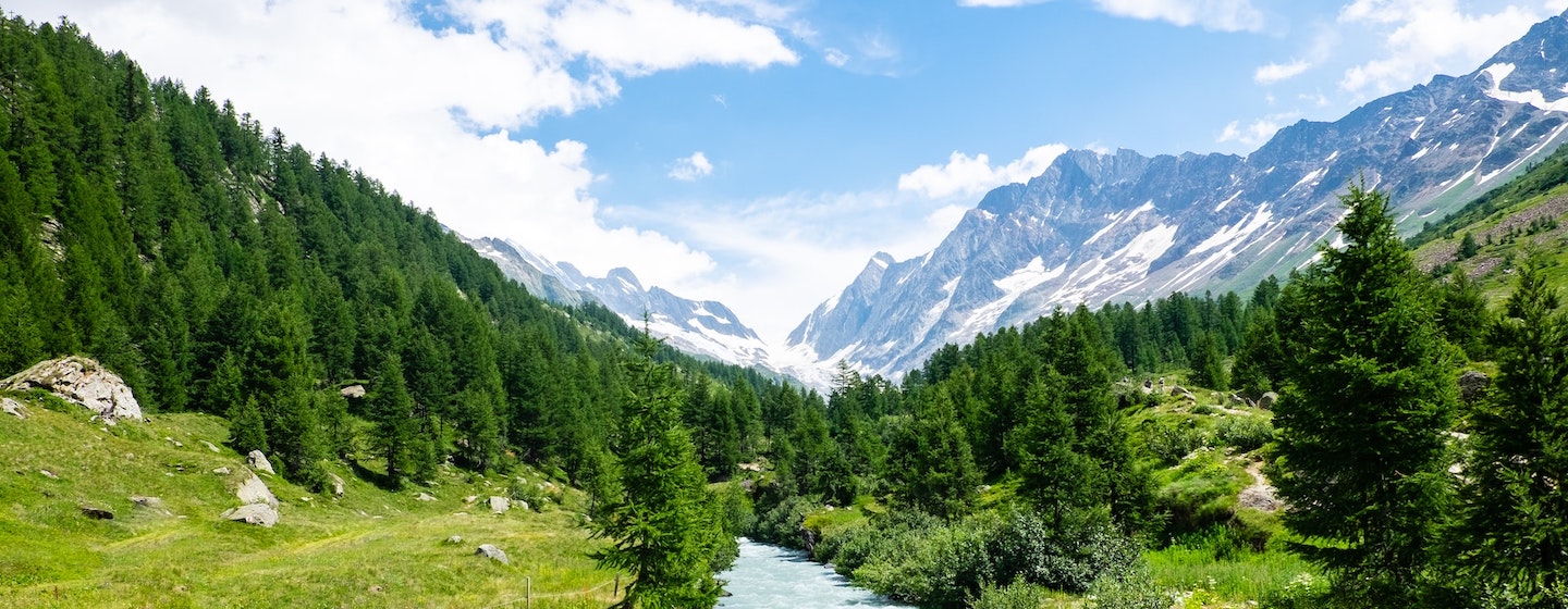 A river running down a valley surrounded by lush green grass and pine trees with snowy mountains in the background